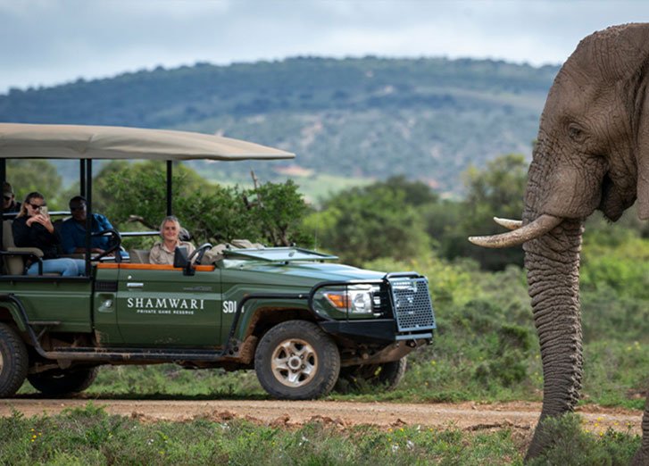 African Travel Cruise Company